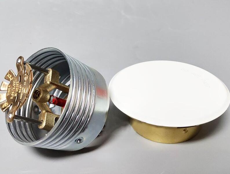 �[��ʽ���?8��ZSTDY Ψ����V3801.jpg